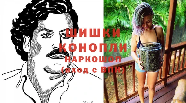 прущие грибы Балахна
