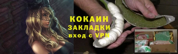 прущие грибы Балахна