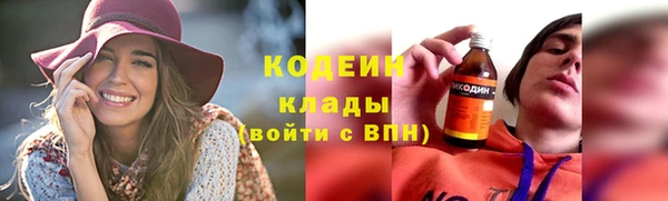 прущие грибы Балахна