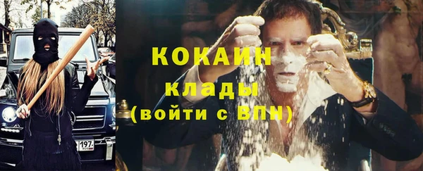 прущие грибы Балахна