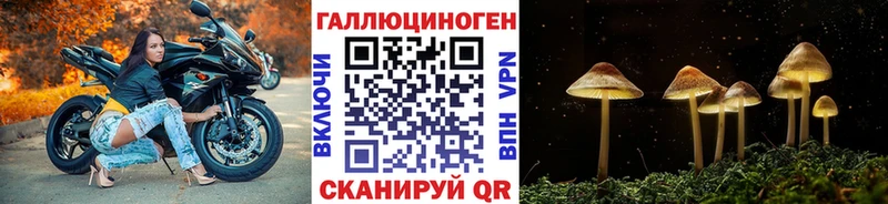 дарк нет наркотические препараты  Новый Уренгой  ОМГ ОМГ ТОР  Псилоцибиновые грибы прущие грибы  как найти  